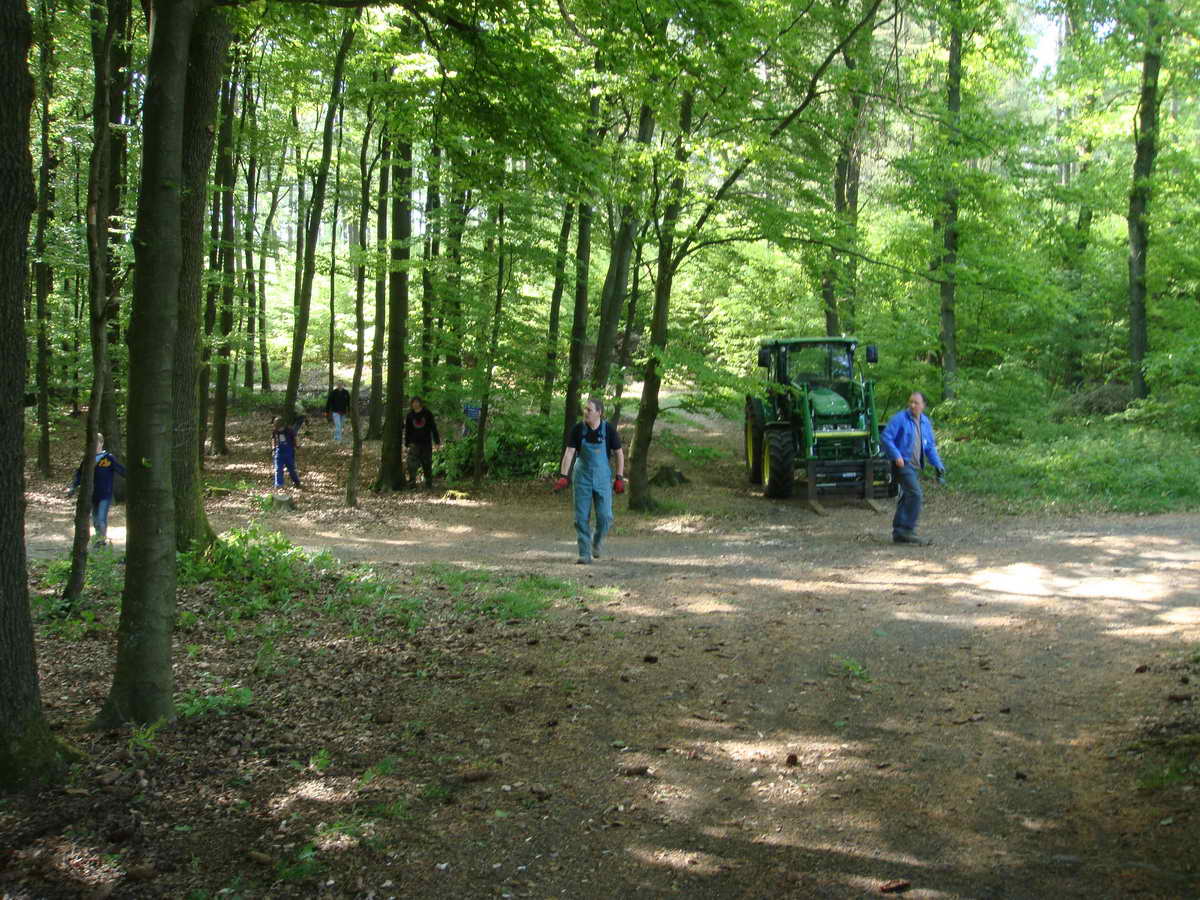 2011-05-07 KPF Wald 21.jpg
